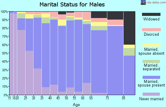 Zip code 78572 marital status for males