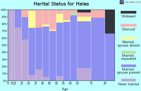 Zip code 78575 marital status for males