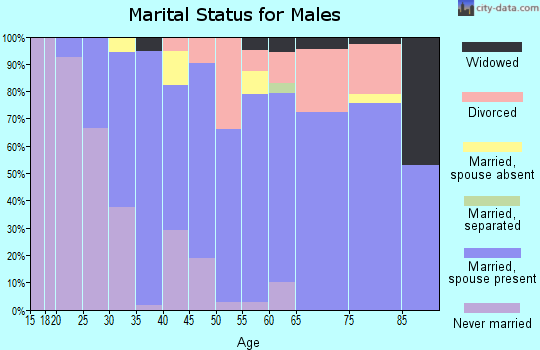 Zip code 78578 marital status for males