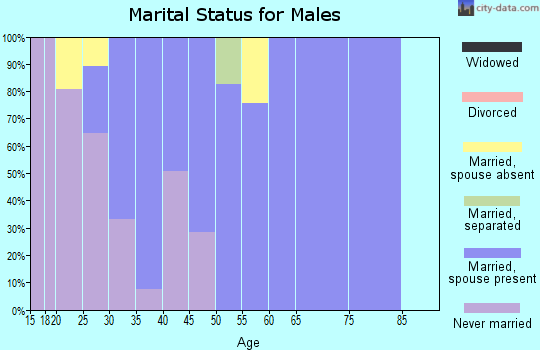 Zip code 78579 marital status for males