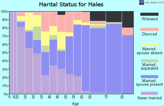 Zip code 78580 marital status for males