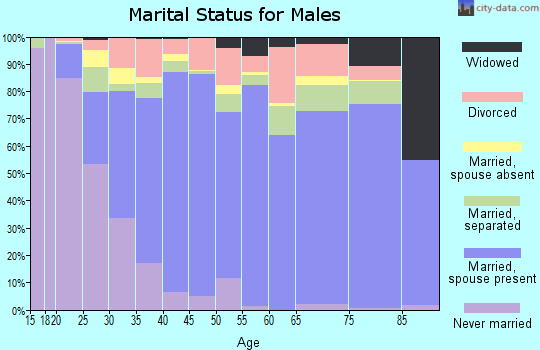 Zip code 78582 marital status for males