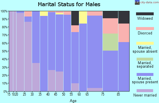 Zip code 78583 marital status for males