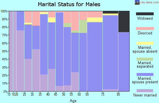 Zip code 78584 marital status for males