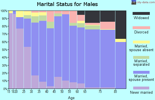 Zip code 78589 marital status for males