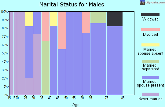 Zip code 78592 marital status for males