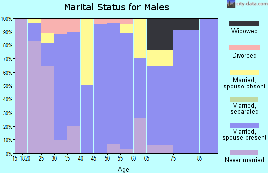 Zip code 78593 marital status for males