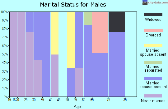 Zip code 78594 marital status for males