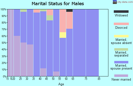 Zip code 78595 marital status for males
