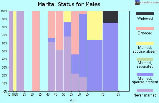 Zip code 78597 marital status for males