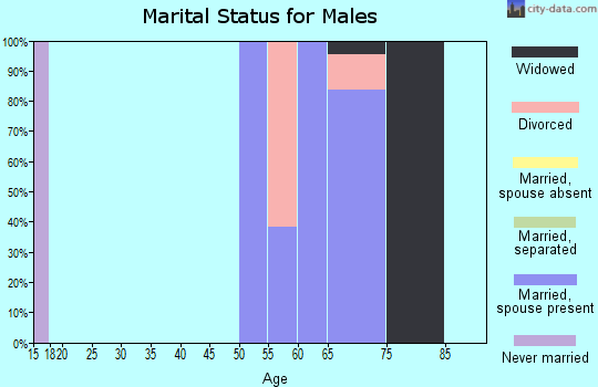 Zip code 78598 marital status for males