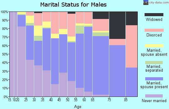 Zip code 78602 marital status for males