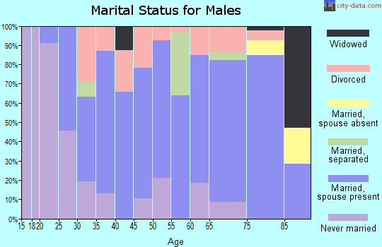 Zip code 78605 marital status for males