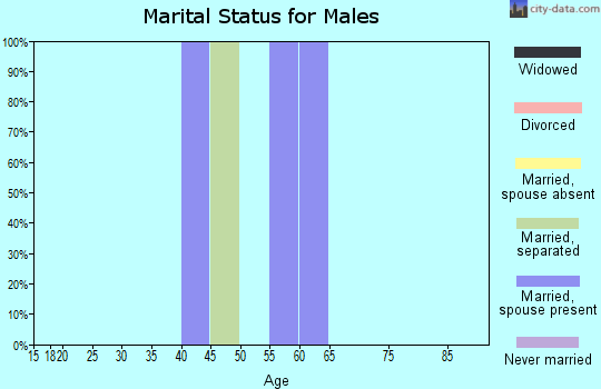 Zip code 78608 marital status for males