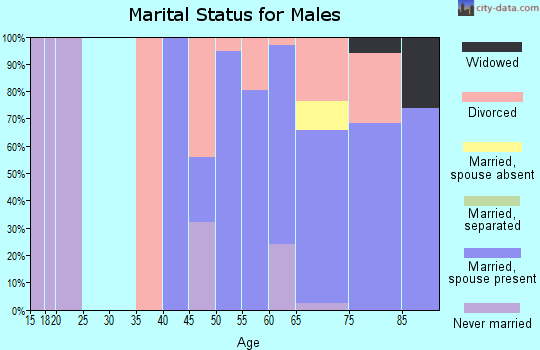 Zip code 78609 marital status for males