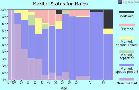 Zip code 78611 marital status for males