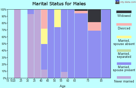 Zip code 78615 marital status for males