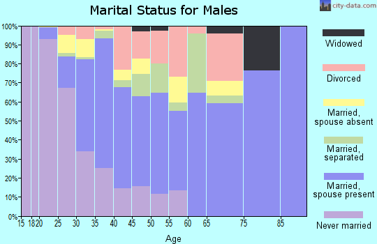 Zip code 78617 marital status for males