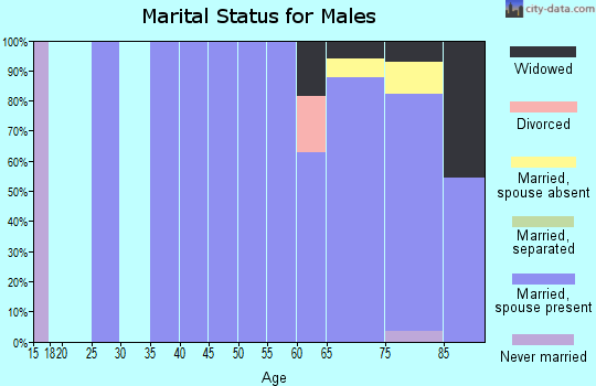 Zip code 78618 marital status for males