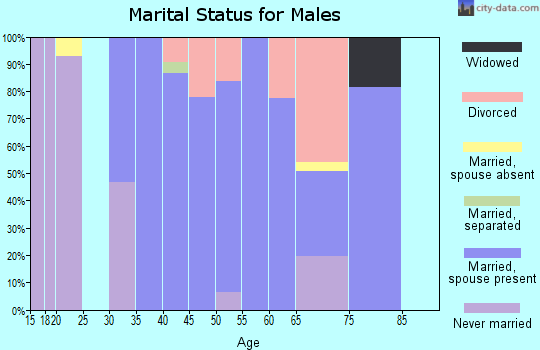 Zip code 78619 marital status for males