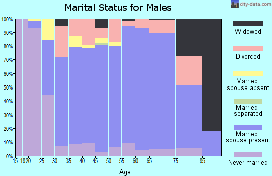 Zip code 78620 marital status for males