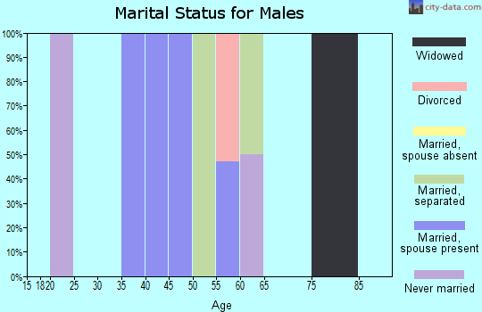 Zip code 78622 marital status for males