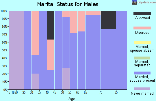 Zip code 78631 marital status for males