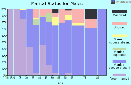 Zip code 78636 marital status for males