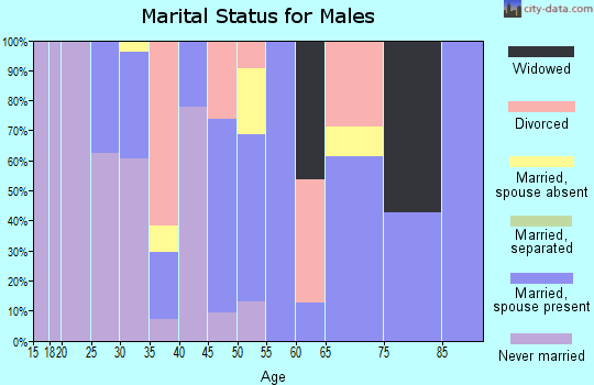 Zip code 78638 marital status for males