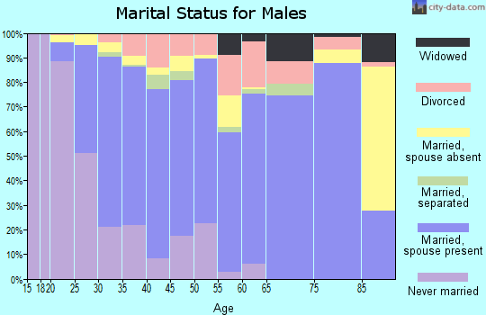 Zip code 78640 marital status for males