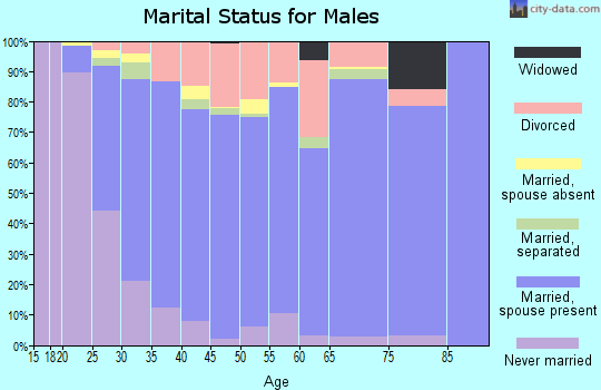 Zip code 78641 marital status for males