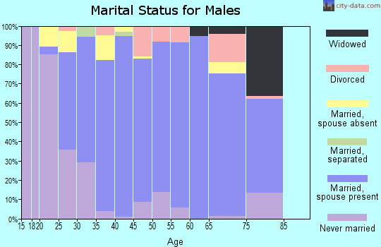 Zip code 78642 marital status for males