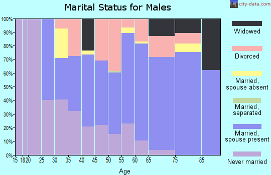 Zip code 78643 marital status for males