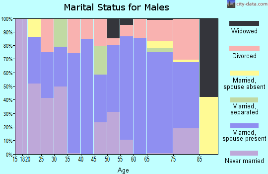 Zip code 78648 marital status for males