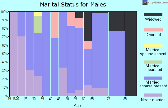 Zip code 78652 marital status for males
