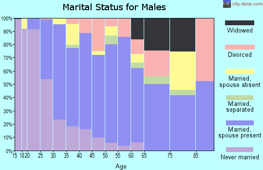 Zip code 78653 marital status for males