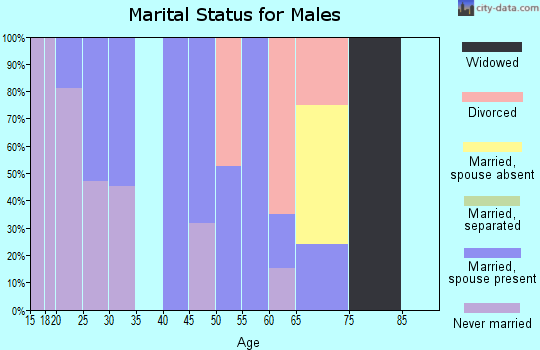 Zip code 78656 marital status for males