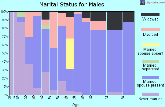 Zip code 78657 marital status for males