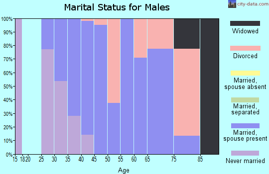 Zip code 78659 marital status for males