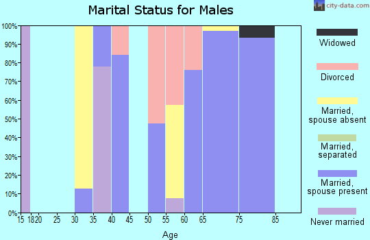 Zip code 78663 marital status for males