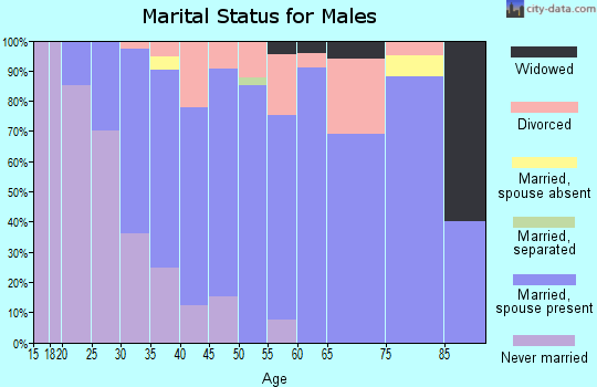 Zip code 78669 marital status for males