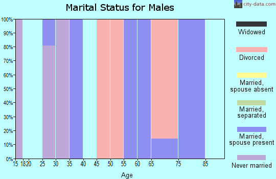 Zip code 78670 marital status for males