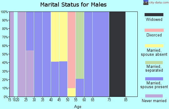 Zip code 78671 marital status for males
