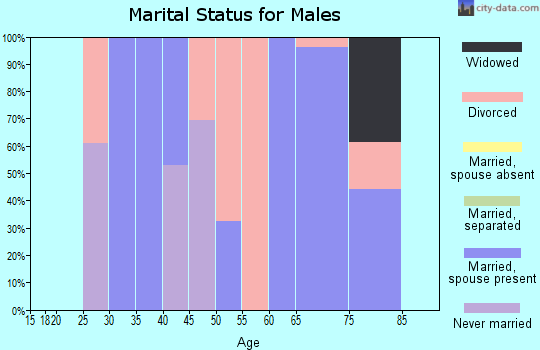 Zip code 78672 marital status for males