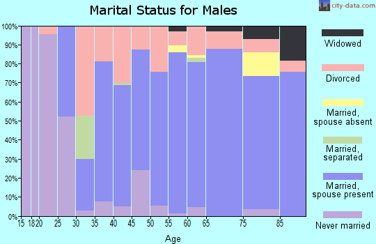 Zip code 78676 marital status for males