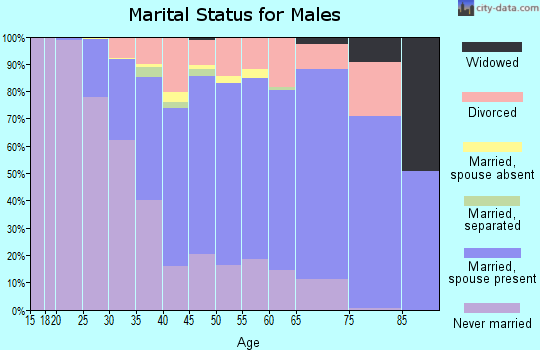 Zip code 78703 marital status for males