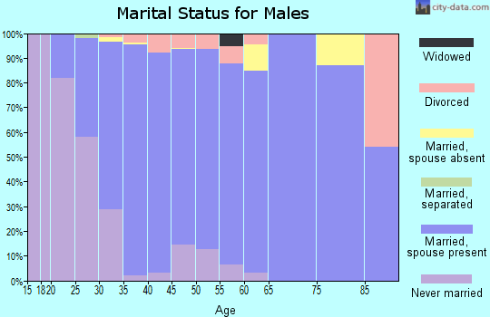 Zip code 78717 marital status for males