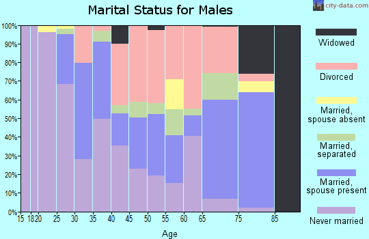 Zip code 78721 marital status for males