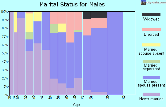 Zip code 78725 marital status for males