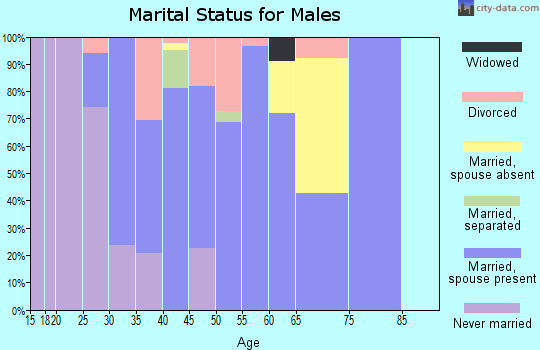 Zip code 78726 marital status for males